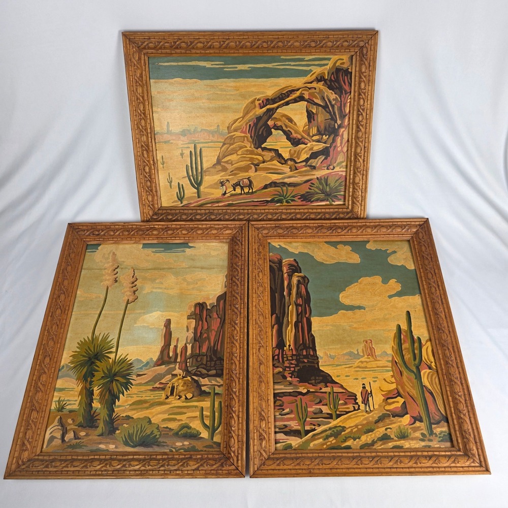 Vintage Southwest Landscape Paint by Numbers Framed Art Set of 3 Desert Cactus